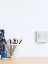  LEGRAND INSPIRIA  2- 10 AX 250   673620