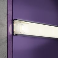 ������������ ����� Maytoni Led Strip 10136 24� 2835 4,8��/� 3000K 5� IP20, �����