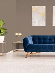 ���� ������������ Hygge 77 Colors C5 07 (1,00�10,05) ���������� (���.)