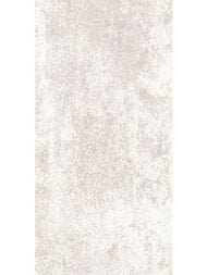 ������ ��������� Alma Ceramica Piemonte (249x500) ����� TWU09PMT404 (��.�)