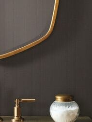 ���� ��������� �� ��������� Carlisle & Co. High Performance Vinyl 1,409�1,00 ������ LX1563 (���.�)