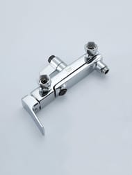 ������� ������� � ���������� �������-��������������, ������ � ������� ����� , FRAP ����, F2484