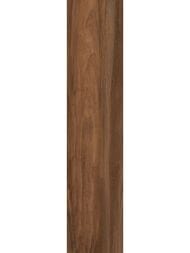 ��������������� ������ Alma Ceramica Ironwood (200x900) ���������� GFA92IRW48R (��.�)