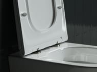 %$ Унитаз подвесной Ceramicanova Forma 480х370х330 безободковый, сиденье микролифт, крепеж CN3011