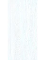 ������ ��������� Alma Ceramica North (249x500) ����� TWU09NRT006 (��.�)