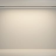 �������� ���������� Maytoni Flex (�����) TR180-1-24WTW-B Basity 3000K/6000K 24�� 90�, IP20, ������