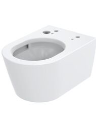   TOTO RW (380580335)  , ,  CW542ERY