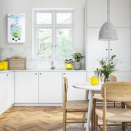 Газовая колонка Zanussi GWH 10 Fonte Glass Lime (550х330х191)