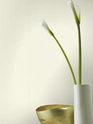 ���� ��������� �� ��������� Rasch Back to Nature (0.53x10.05) ���������, ������� 746013 (���.)