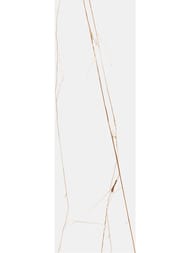 ��������������� ������ Staro Slab SPIDER BROWN Polished (800�2400�15) ������, ����� (��.)