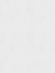     Marburg Structure (1,0610,05) ,  30079  (.)