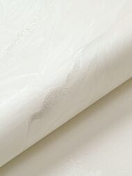       (1,0610,05)  AR11171-01 ()