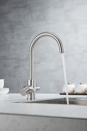 ��������� ��� ����� ESSEN, ������������� �����, Es213211-BS, Paulmark