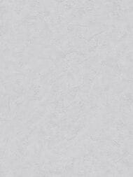 ���� ��������� �� ��������� As Creation Pacifica Deluxe (1,06�10,05) ����� 3994-65 (���.)