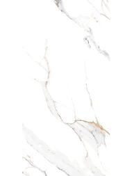 ������ ��������� Alma Ceramica Dublin (249x500) ����� TWU09DBL004 (��.�)