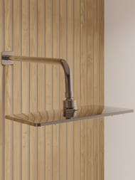   IDDIS Slide SLISB02i67 , 