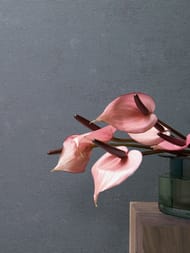 ���� ��������� �� ��������� Marburg The new Bombay 30112 (0,92�10,05) ����� (���.)