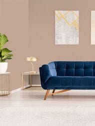 ���� ������������ Hygge 77 Colors C9 02 (1,00�10,05) ���������� (���.)