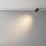 �������� ���������� Maytoni Focus LED (����� ���) TR243-4-12WTW-DD2-B Exility X 2700-6000K 12�� 36� Dim Dali2, IP20, ������