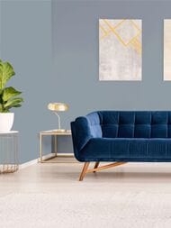 ���� ������������ Hygge 77 Colors C6 01 (1,00�10,05) ����� (���.)