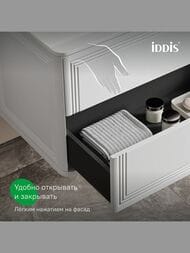 ����� � ��������� IDDIS Oxford Neo 100�� (1006�470�500��) ���������, 2 �����, ����� OXN10W0i95K