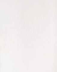 ���� ��������� �� ��������� Solo Fashion I (1,06�10,00) ������� ����� � �������, 240488 (���.)