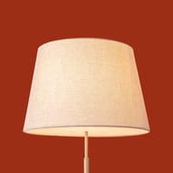 ��������� ���������� Freya Butler (������) FR2057FL-01BG, 220/240 V, IP 20, �������