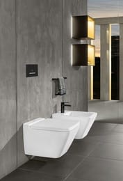   Villeroy & Boch Finion PLUS (375560)  ,   4664R0R1+9M88S1R1