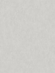 ���� ��������� �� ��������� Wall Up Bright Whisper (1.06x10.05) ���������, ����� W190023 (���.)