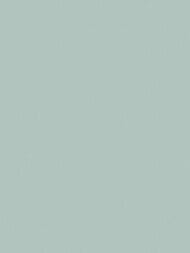 ���� ��������� �� ��������� Wiganford All time Trend Art (1,06�10,05) ���������, WG0226 (���.)