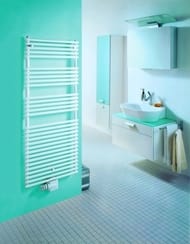 ����������������� �������� Zehnder Forma LF-120-050-05 (1161�496) �������, ����: �����