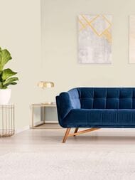 ���� ������������ Hygge 77 Colors C1 01 (1,00�10,05) ������� (���.)