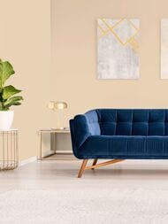 ���� ������������ Hygge 77 Colors C2 02 (1,00�10,05) ������� (���.)