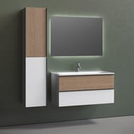 ����� ��� �������� SANCOS Delta (995x445x500) ���������, 2 �����, ��� �������/����� DL100W