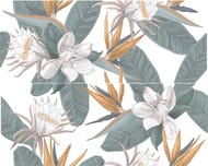 ����� AZORI Calacatta Ivori Strelitzia (402�505) �����, ������������ (����.)