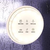 ������������ ����� Maytoni Led Strip 10132 12� 5050 14,4��/� 4000K 5� IP65, �����