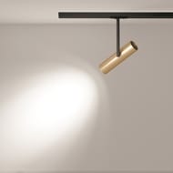 �������� ���������� Maytoni Elti (����) TR005-1-GU10-BG Unity GU10 10��, IP20, ������