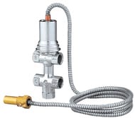 �������� ������������ Protherm Caleffi 544 ��� ������ DLO  0020049308