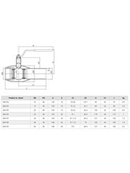     NAVAL DN 40, PN 40 284158