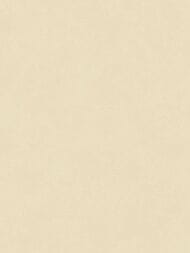 ���� ��������� �� ��������� Wiganford All time Trend Art (1,06�10,05) �������, WG0606 (���.)