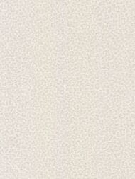 ���� ��������� �� ��������� ROBERTO CAVALLI Home 8 (1,06�10,05) �������, ������� 19016 (���.)