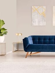 ���� ������������ Hygge 77 Colors C1 02 (1,00�10,05) ������� (���.)