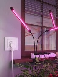  Werkel Wi-Fi () W1171601