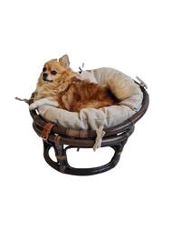 ������ �������-���� ��� �������� (600�600�400) � ��������, �����-���������� 23/01