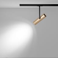 �������� ���������� Maytoni Elti (����) TR005-1-GU10-BG Unity GU10 10��, IP20, ������