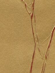 ���� ��������� �� ��������� Marburg Crush Motion 63427 (0,70�10,05) ������� (���.)