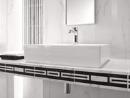 ������ ��������� Villeroy & Boch NEW TRADITION (300�900) ����� 1310ML00 (��.�.)
