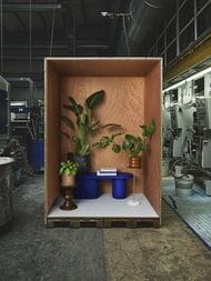 ���� ��������� �� ��������� Marburg Eclectic (0.7�10,05)  ����������, 34926  (���.)