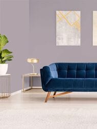 ���� ������������ Hygge 77 Colors C9 04 (1,00�10,05) ���������� (���.)