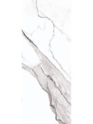 ������ ��������� AZORI Polar (201�505) ������, ����� (��.�.)